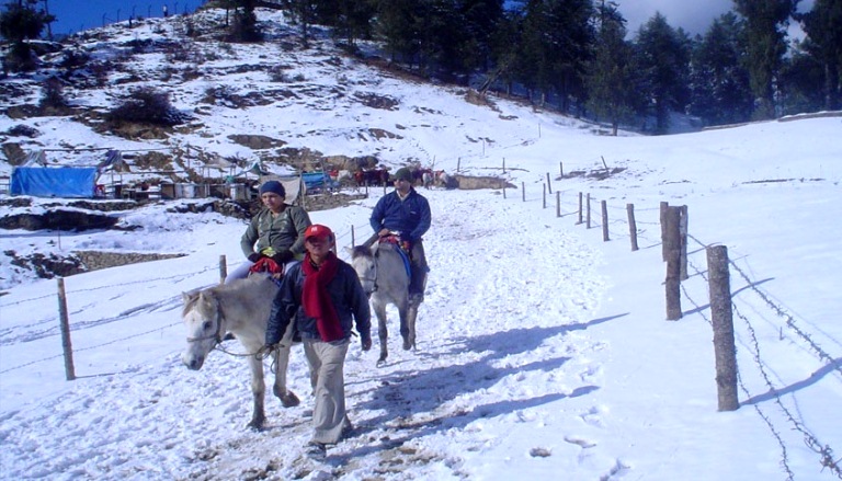 Shimla Manali Dharamshala Tour